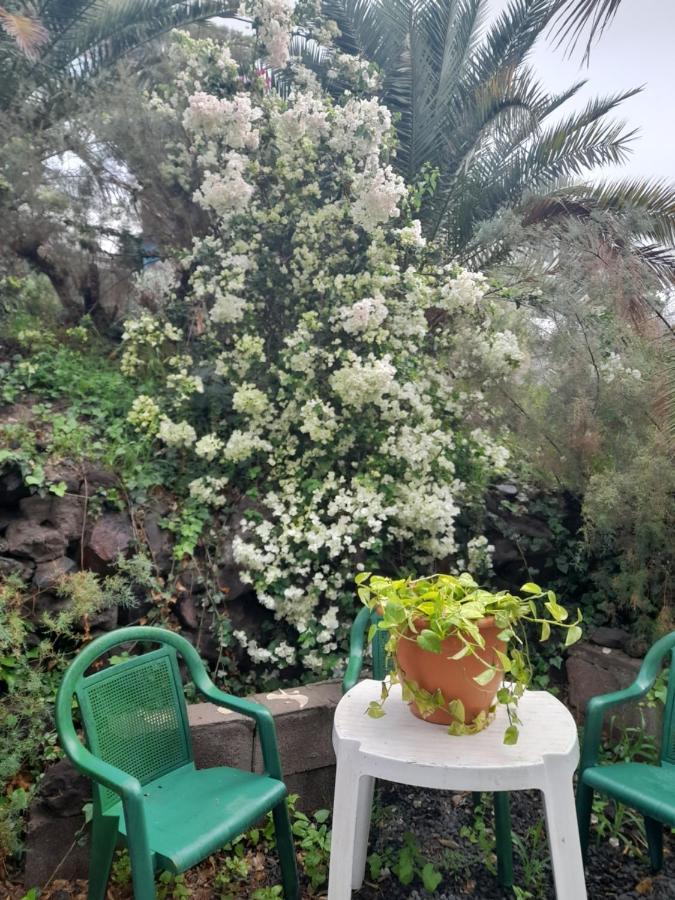 דירות לאס פאלמס דה גראן קנאריה -The Garden - מראה חיצוני תמונה